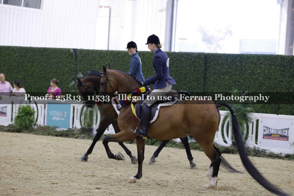 Proof 25R13_11533