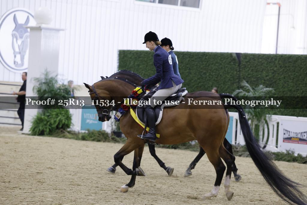 Proof 25R13_11534