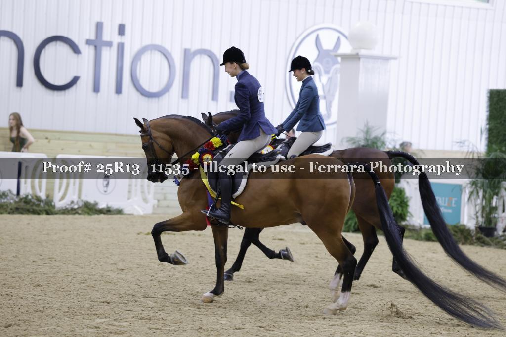 Proof 25R13_11535