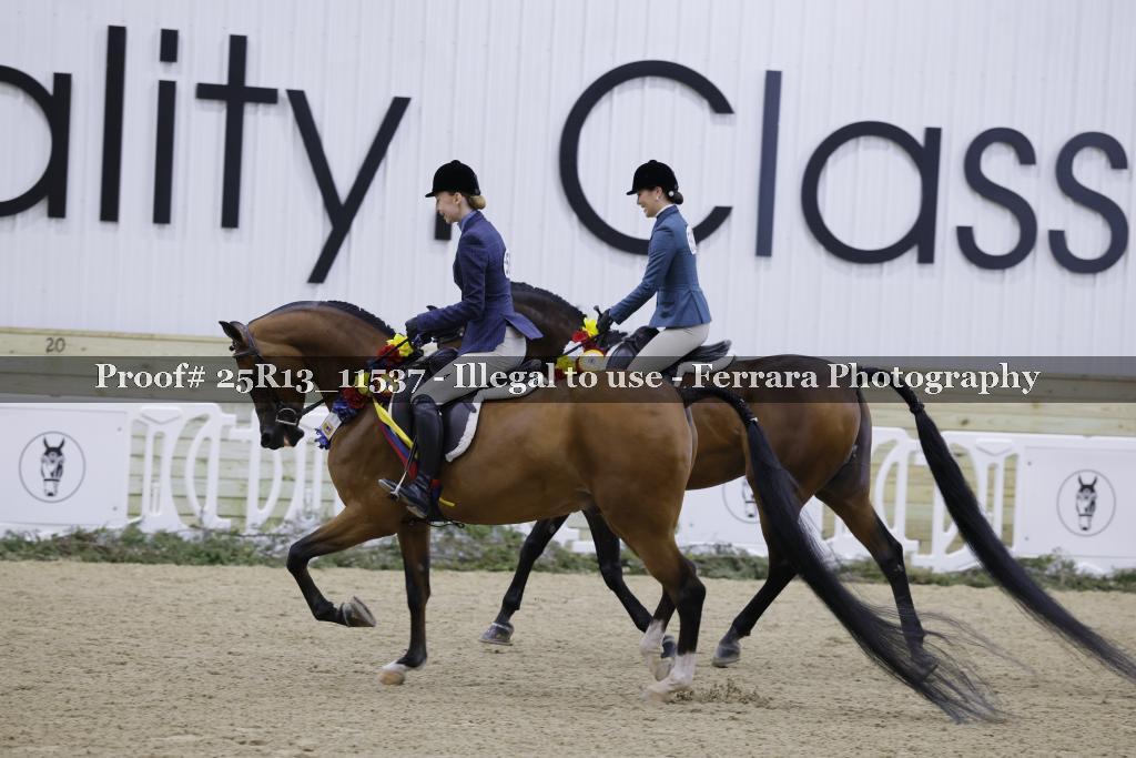 Proof 25R13_11537