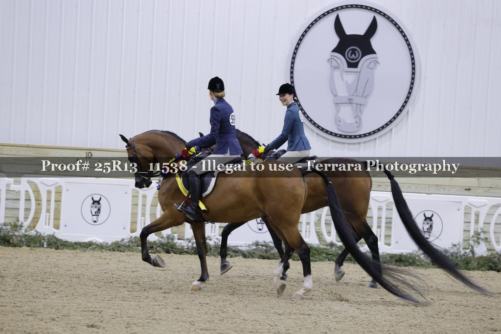 Proof 25R13_11538
