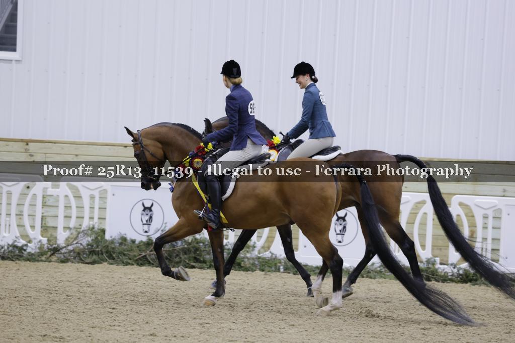 Proof 25R13_11539