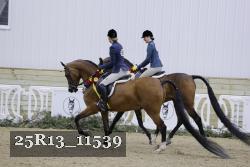 25R13_11539 proof
