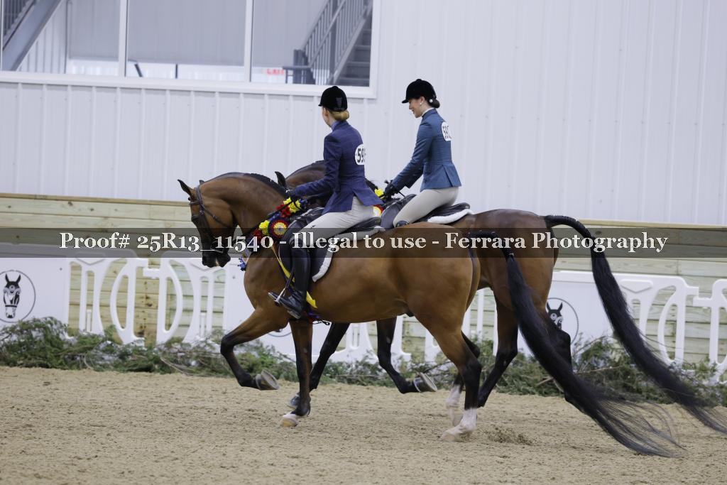 Proof 25R13_11540