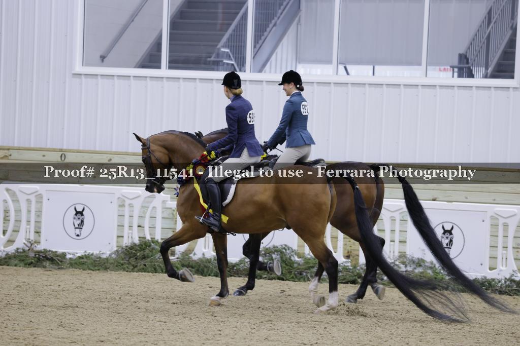 Proof 25R13_11541