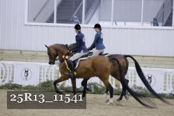 25R13_11541 proof