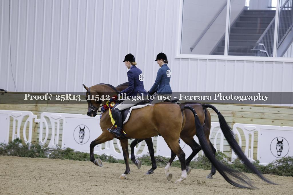 Proof 25R13_11542