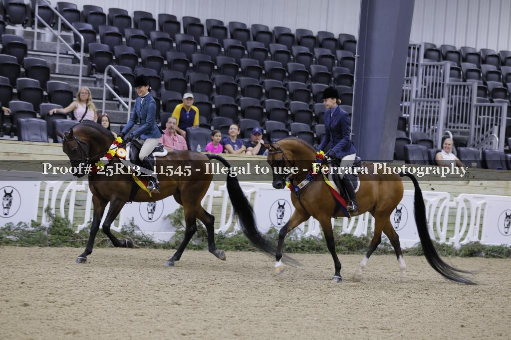 Proof 25R13_11545