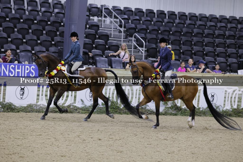 Proof 25R13_11546