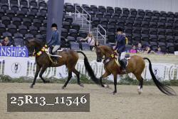 25R13_11546 proof