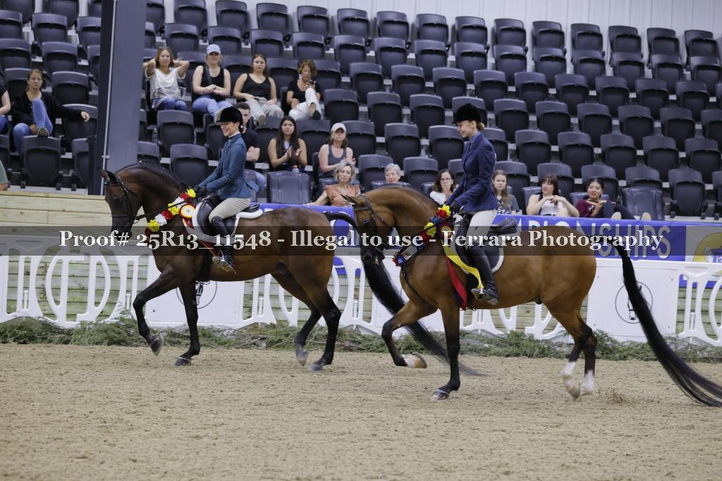 Proof 25R13_11548
