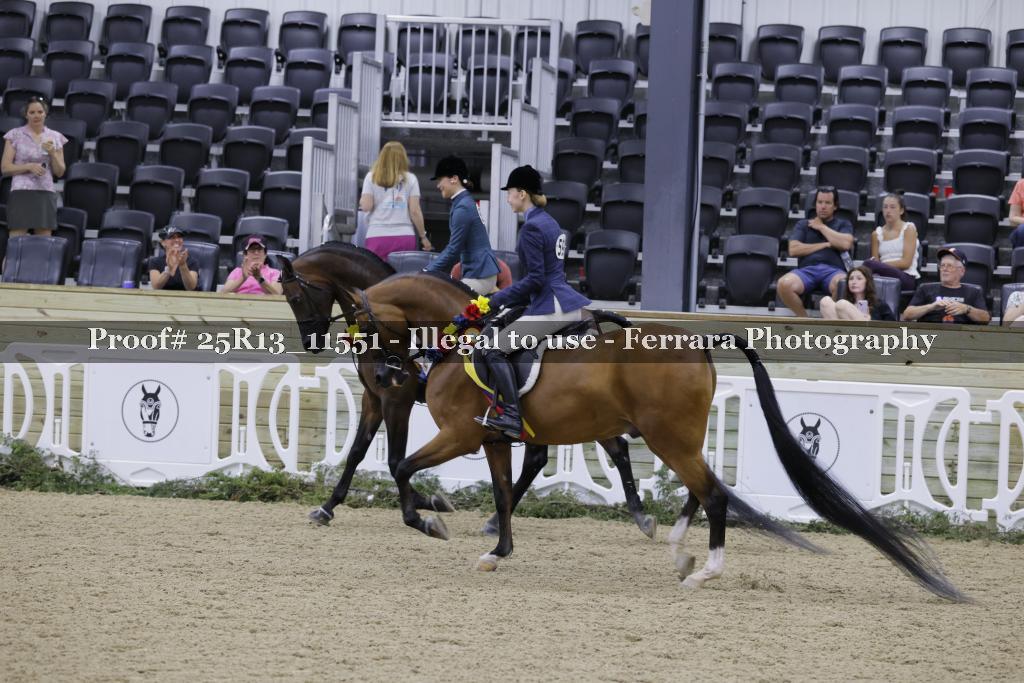 Proof 25R13_11551