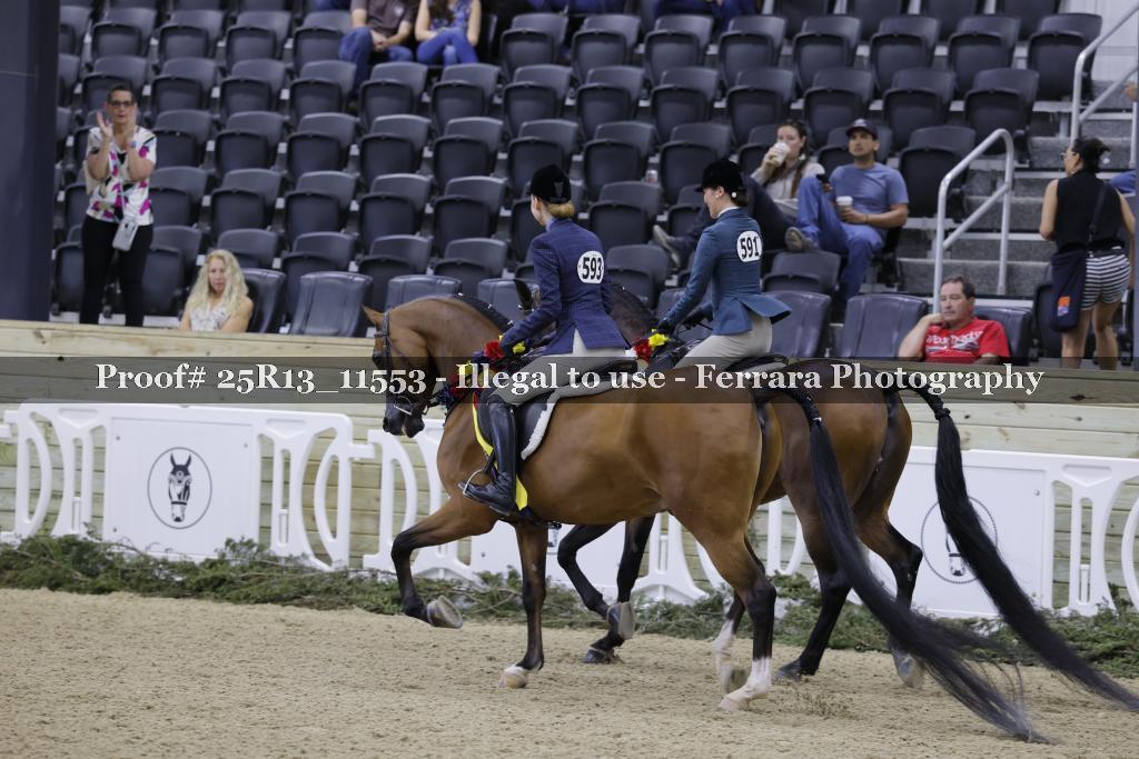 Proof 25R13_11553