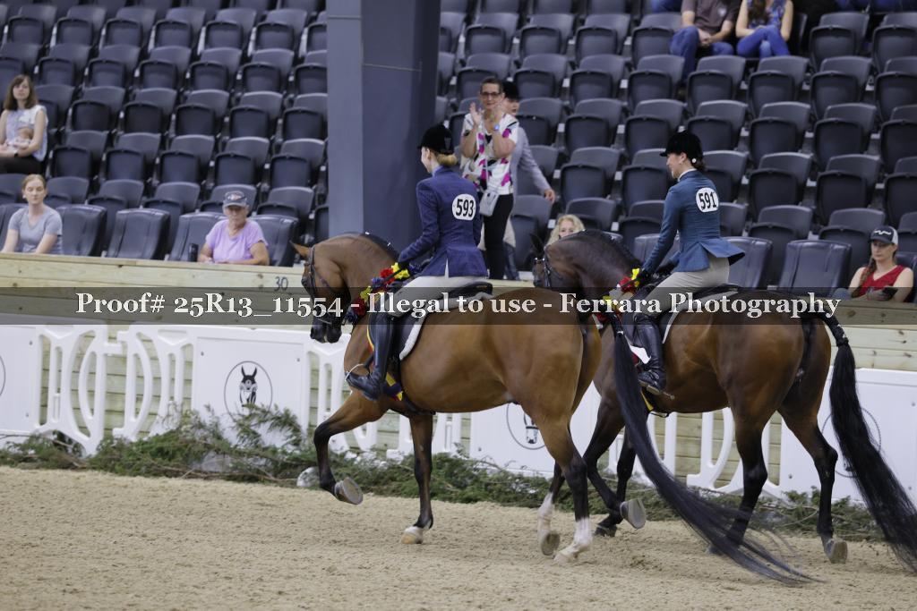 Proof 25R13_11554