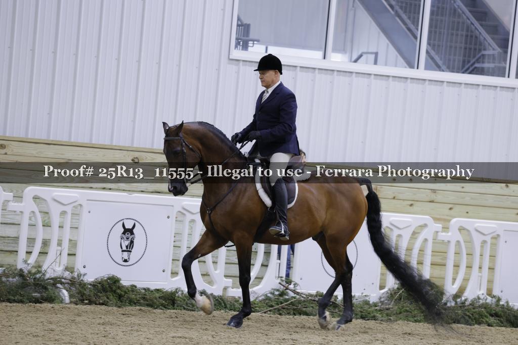 Proof 25R13_11555