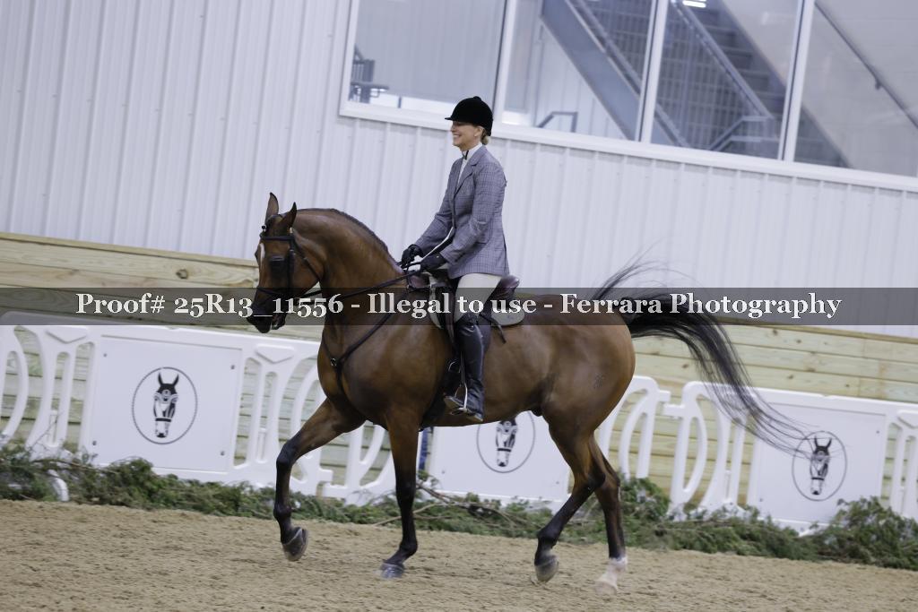Proof 25R13_11556