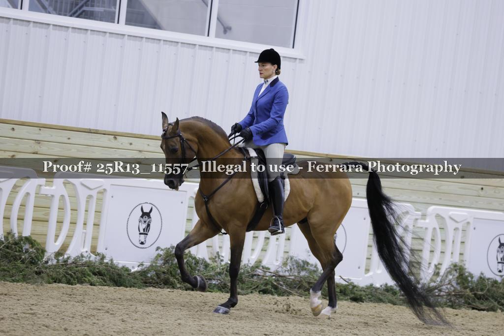 Proof 25R13_11557
