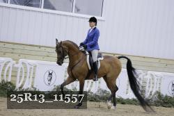 25R13_11557 proof