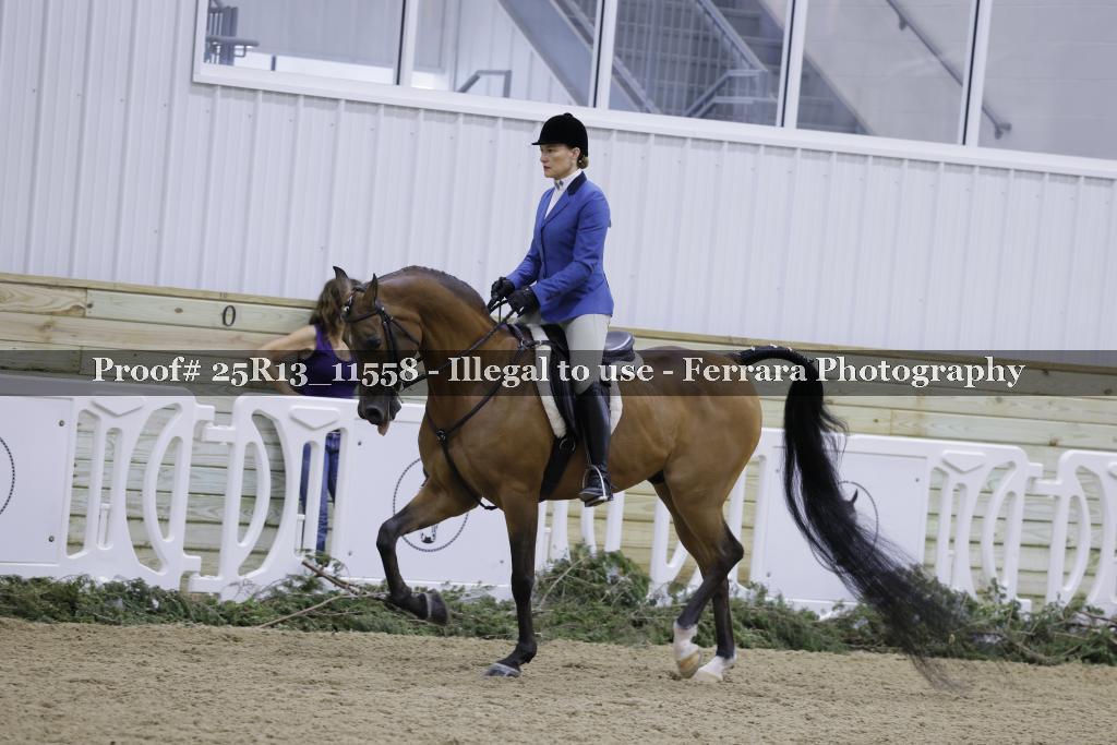 Proof 25R13_11558