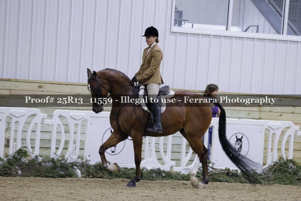 Proof 25R13_11559