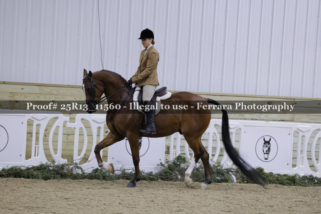 Proof 25R13_11560
