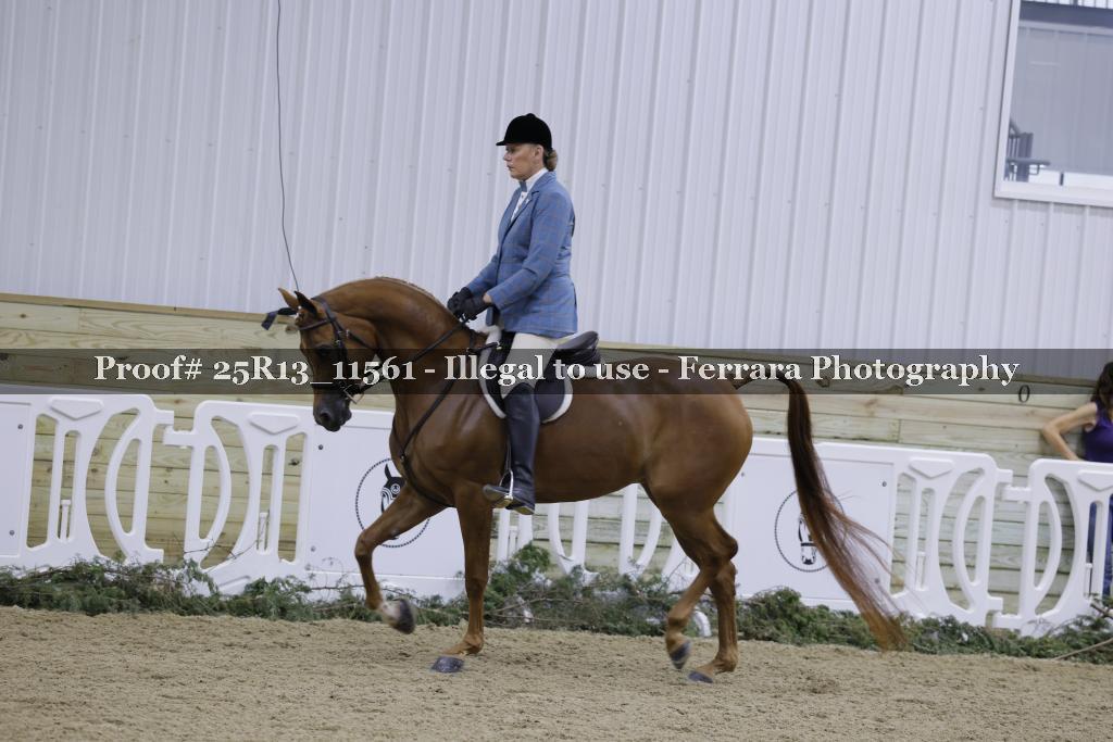 Proof 25R13_11561