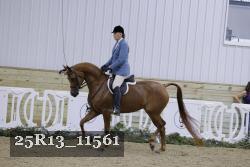25R13_11561 proof