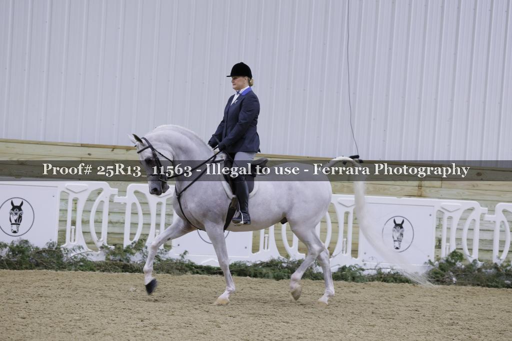 Proof 25R13_11563