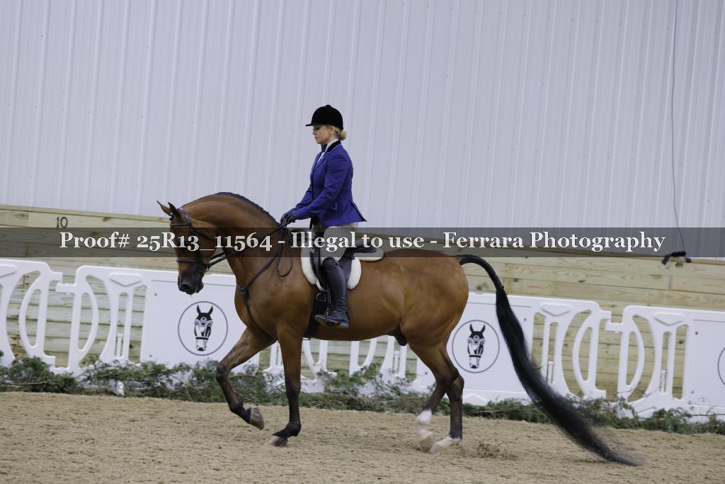 Proof 25R13_11564