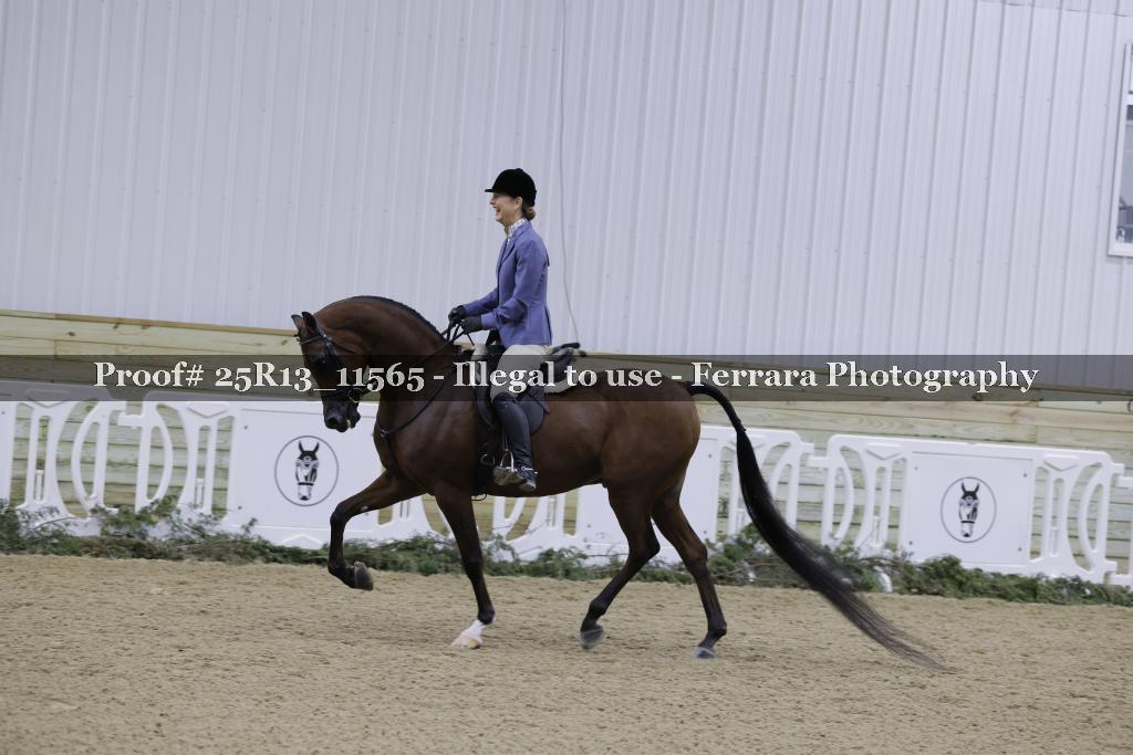 Proof 25R13_11565