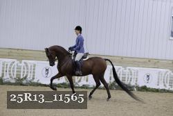 25R13_11565 proof