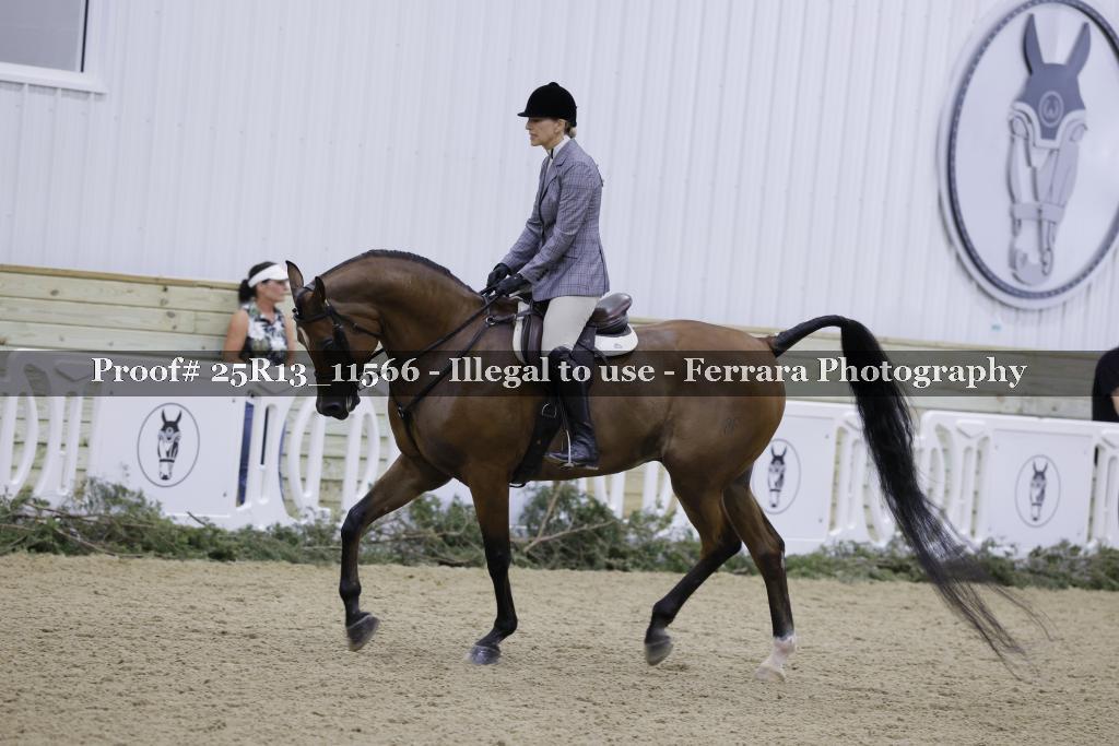 Proof 25R13_11566