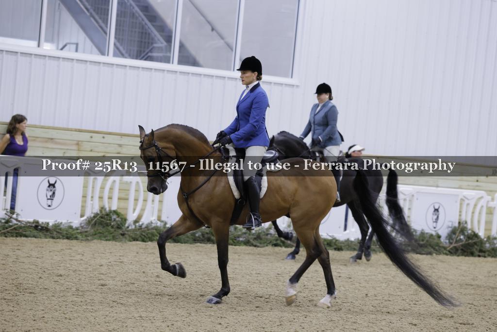Proof 25R13_11567