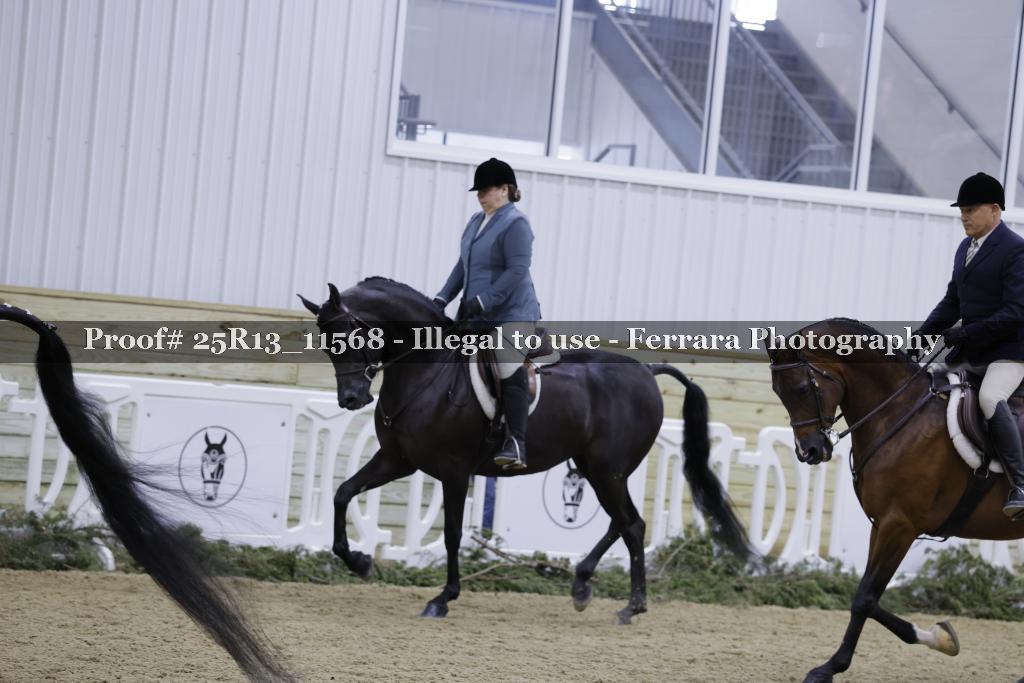 Proof 25R13_11568