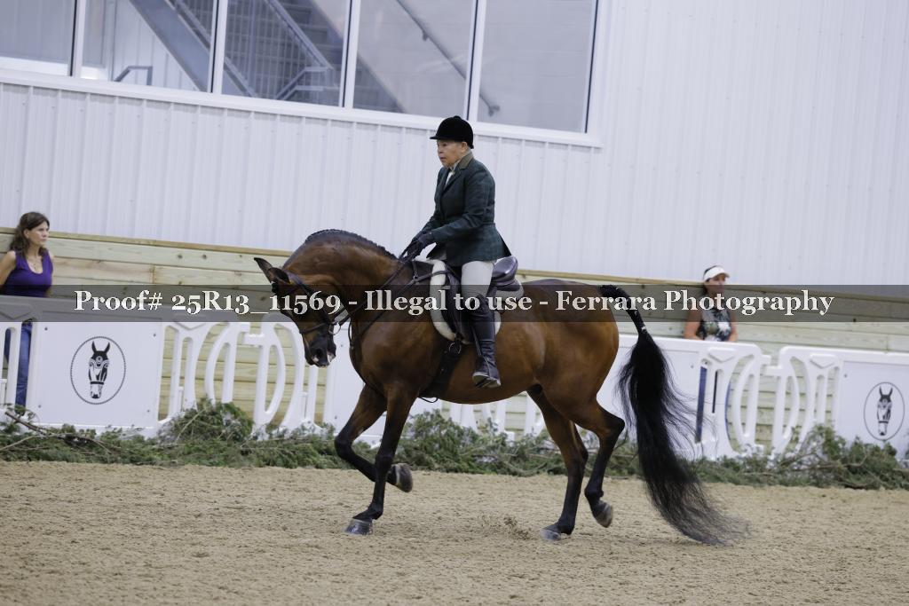 Proof 25R13_11569