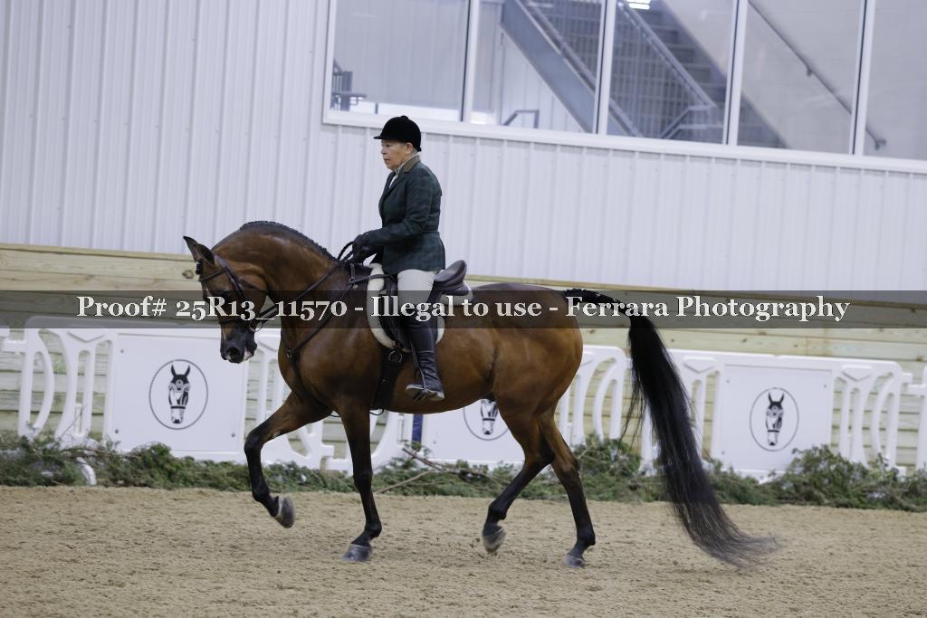 Proof 25R13_11570