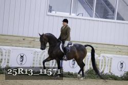 25R13_11571 proof