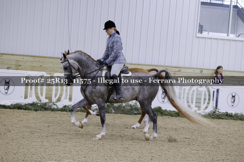 Proof 25R13_11575