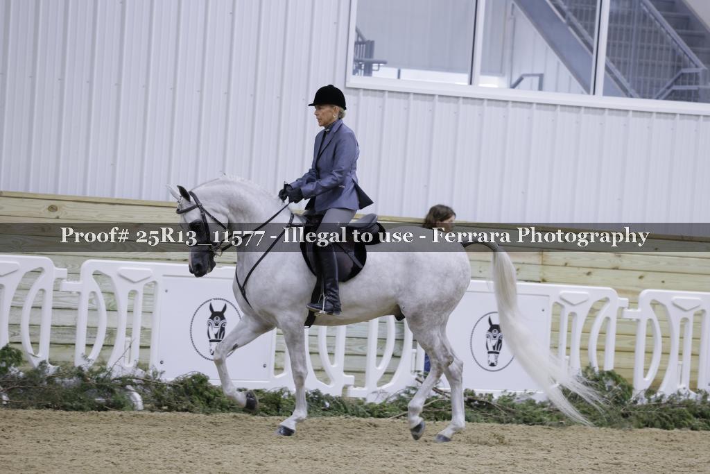 Proof 25R13_11577