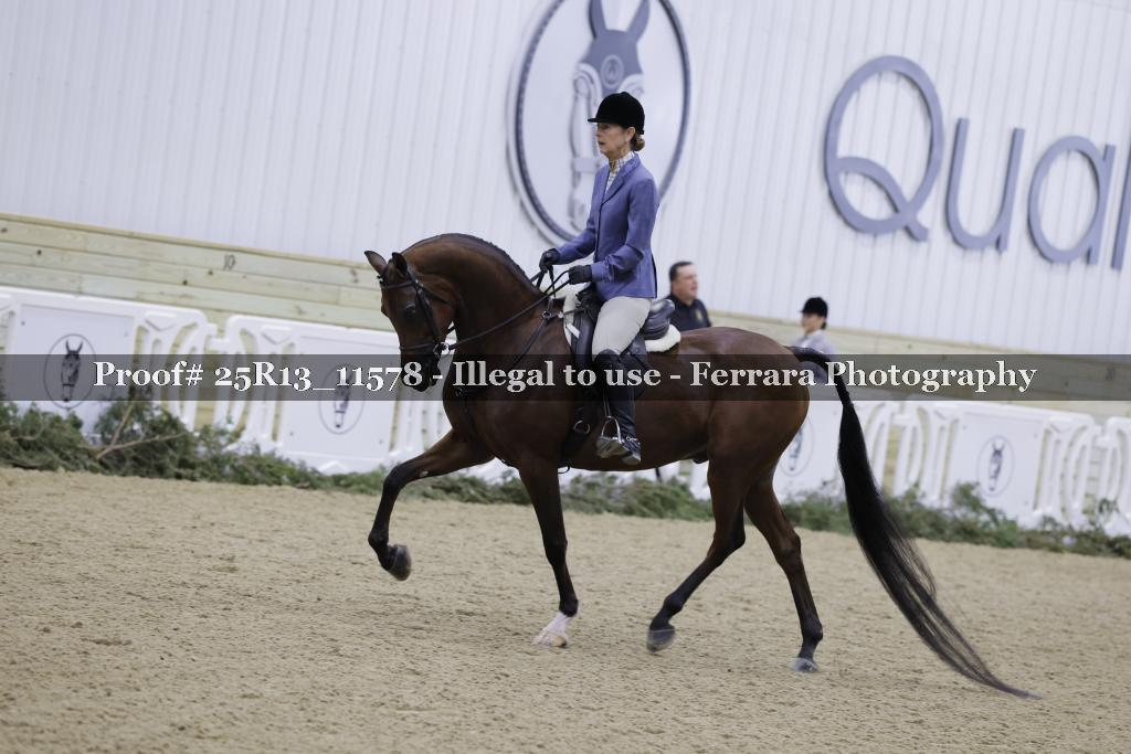 Proof 25R13_11578
