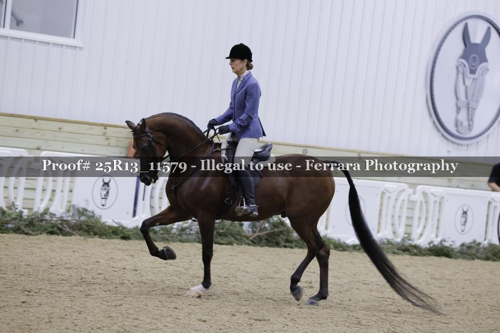 Proof 25R13_11579