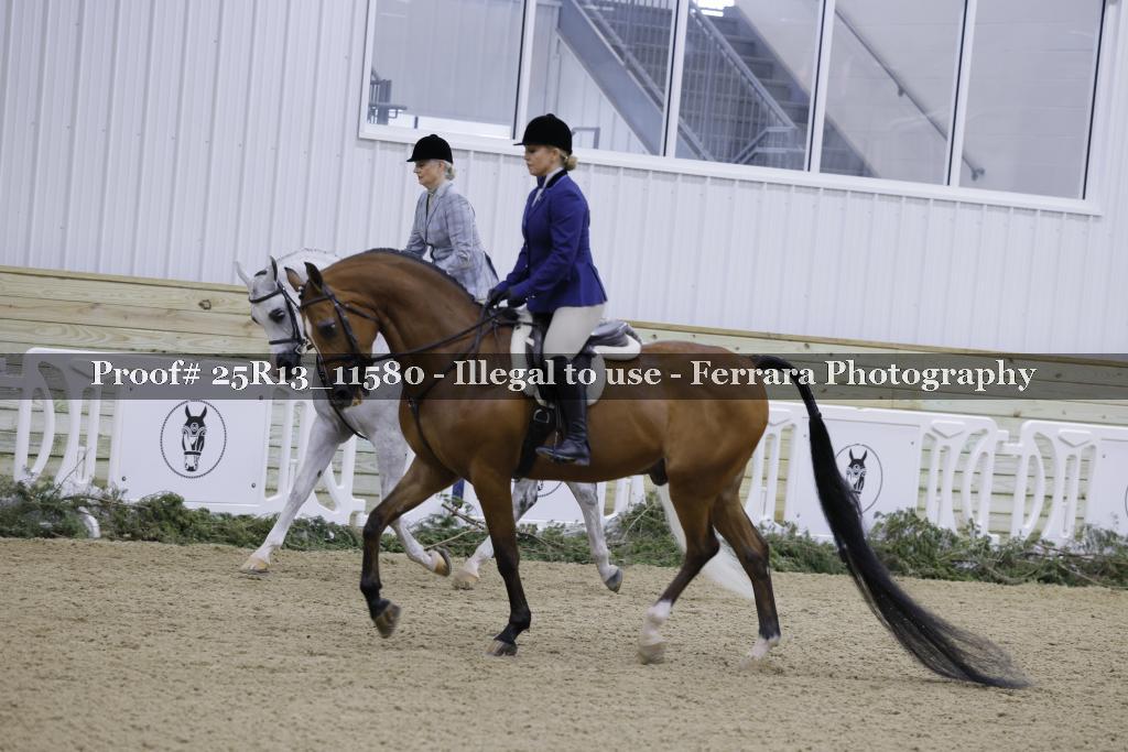 Proof 25R13_11580
