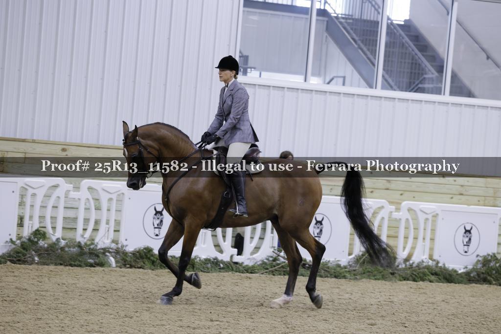 Proof 25R13_11582