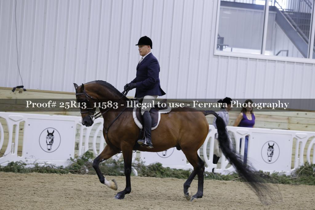 Proof 25R13_11583