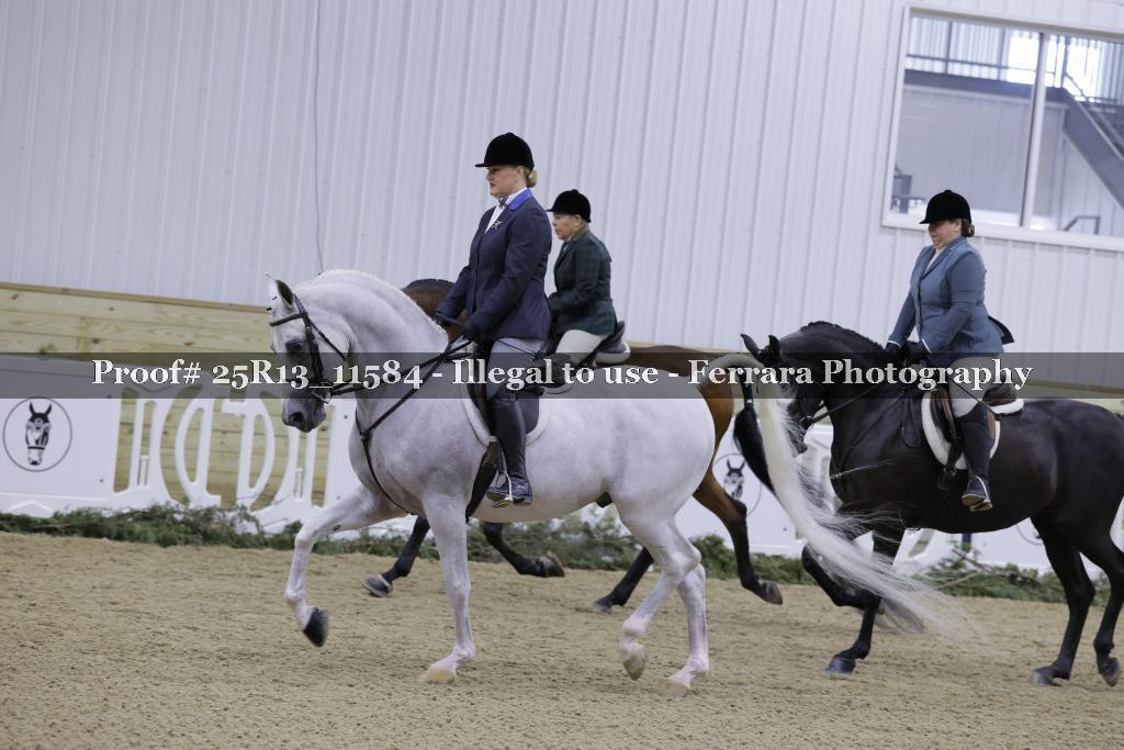 Proof 25R13_11584