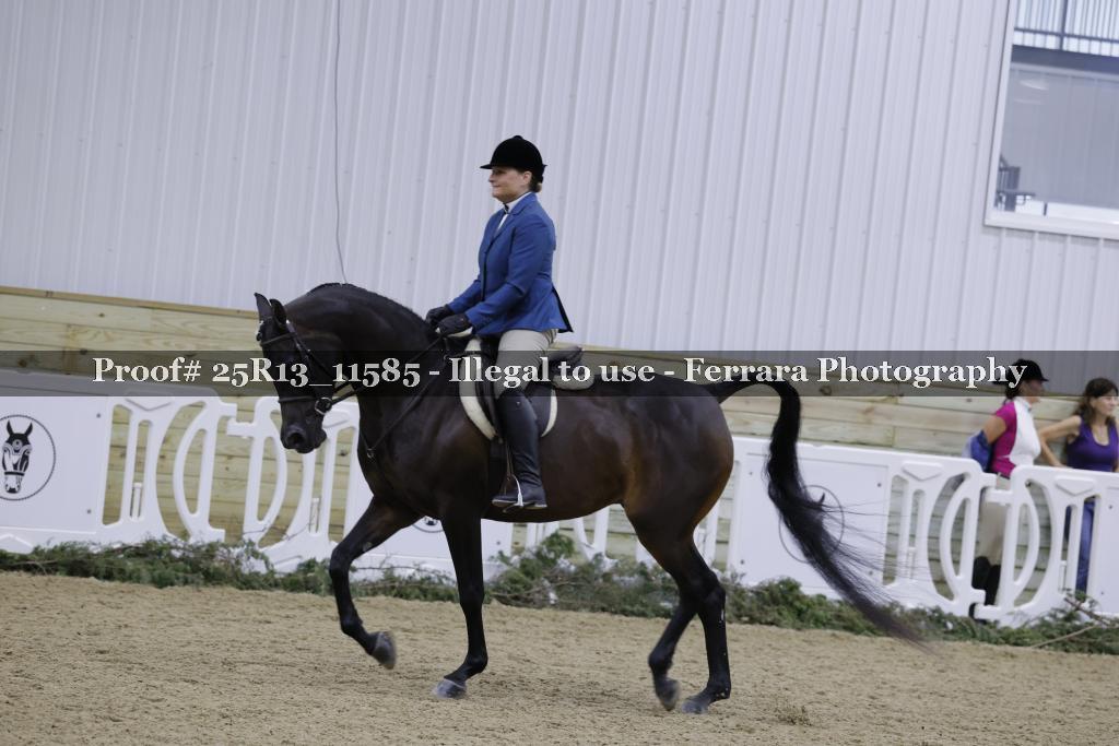 Proof 25R13_11585