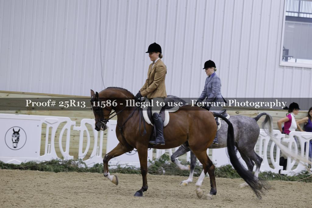 Proof 25R13_11586