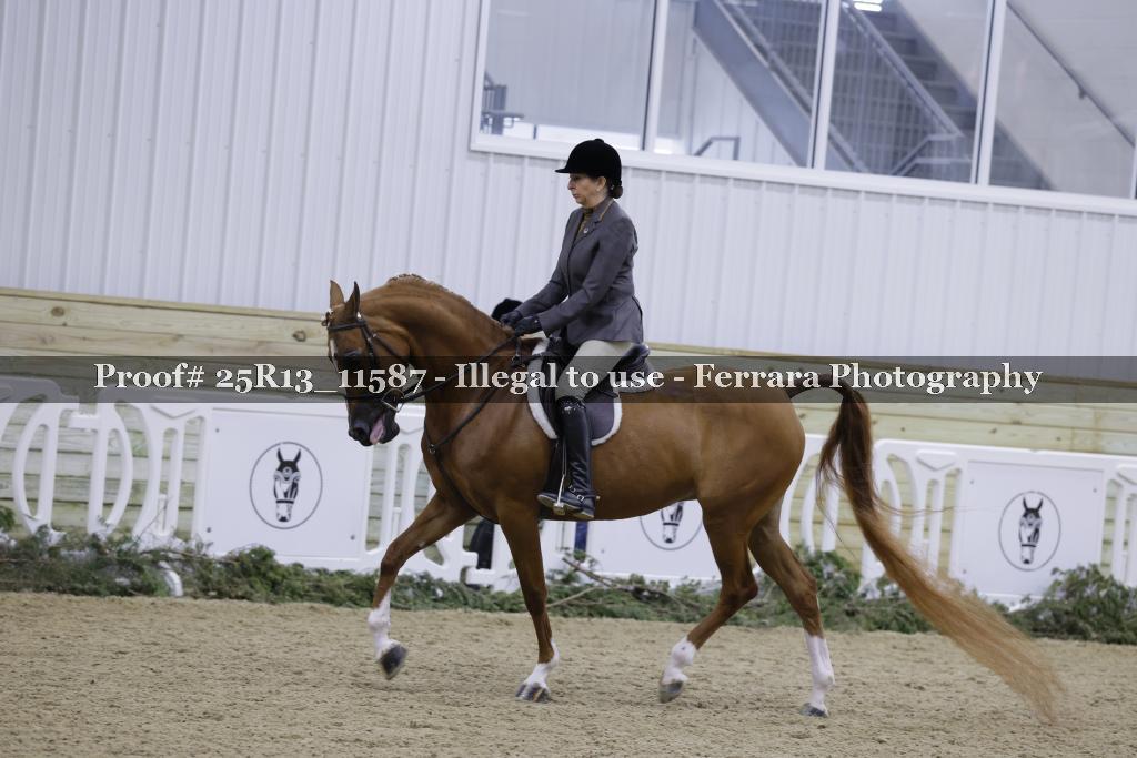 Proof 25R13_11587
