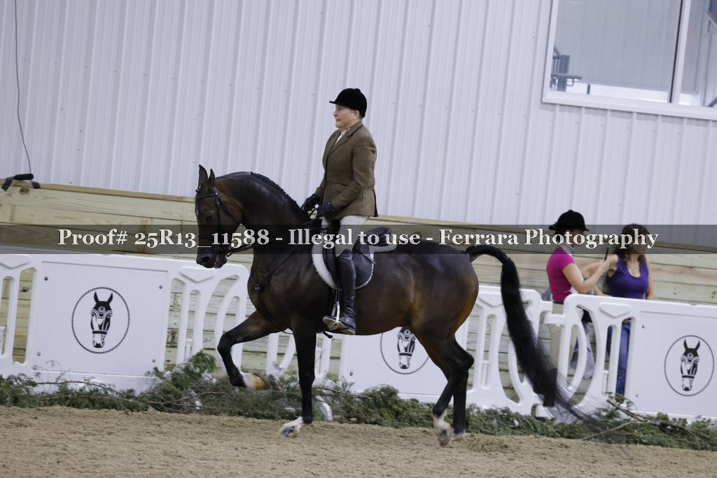 Proof 25R13_11588