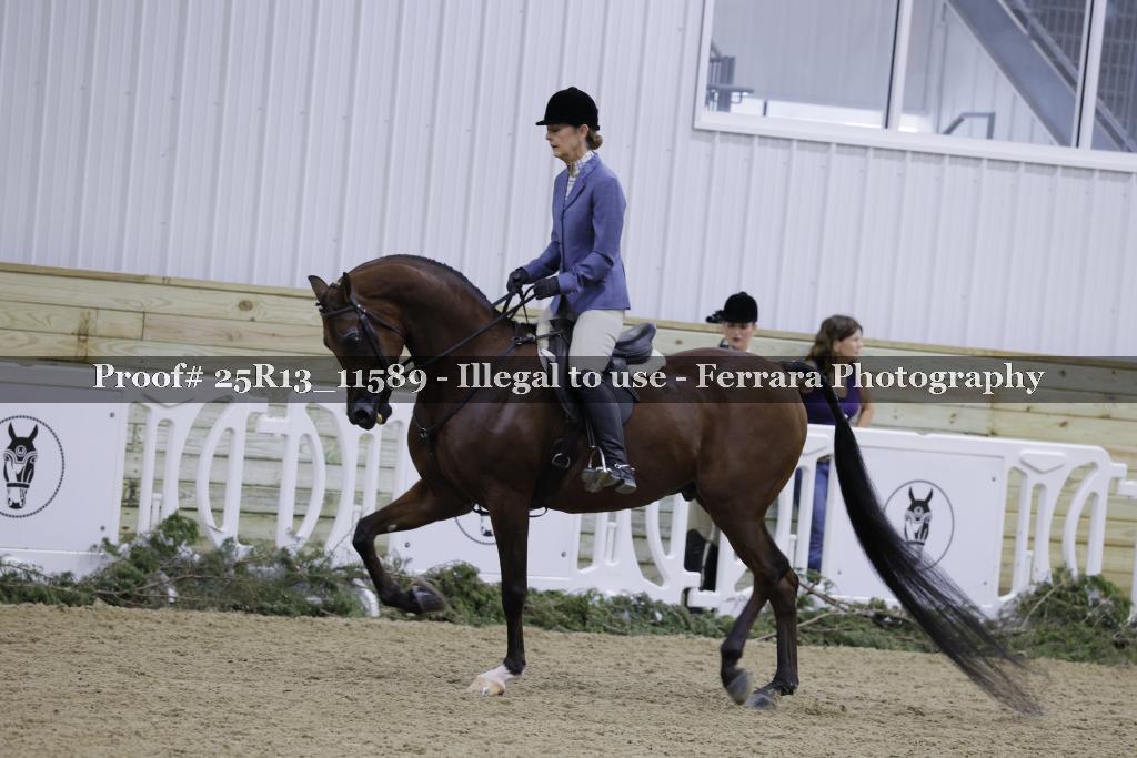 Proof 25R13_11589